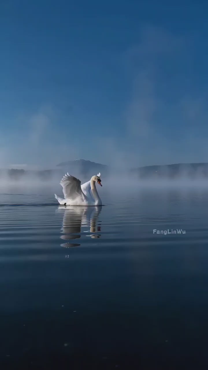 Fade into Blue | Premium Dynamic Screen Saver